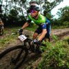 Pack of 10 images - Image 8