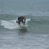 Pack of 10 images - Image 8